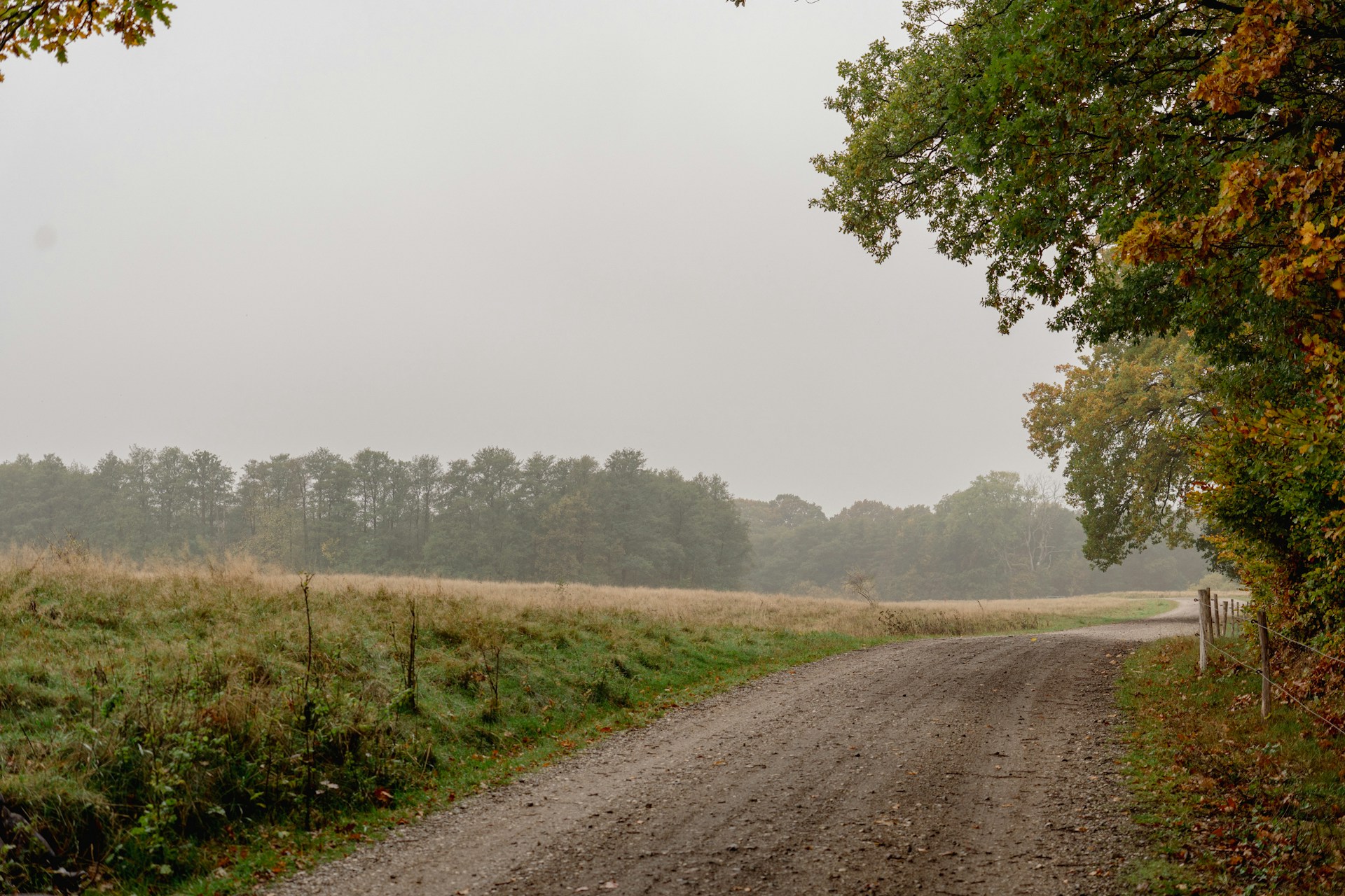 Mistig pad tussen herfstige weilanden, het einde nog niet zichtbaar